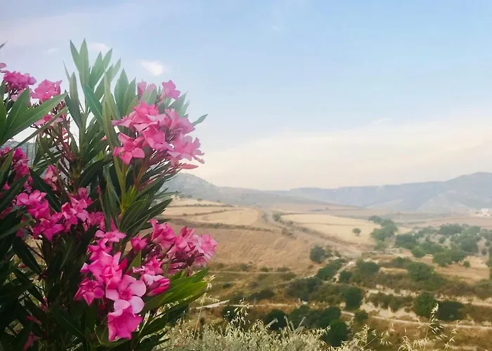 Apartmán Panoramic Holidays *